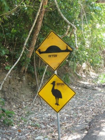 Stupid Yellow Road Sign