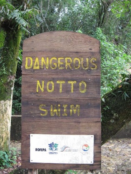 Schild mit der lustigen Aufschrift "Dangerous not to swim"