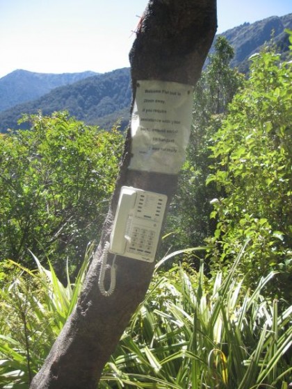 Ein Telefon mitten im Wald an einem Baum