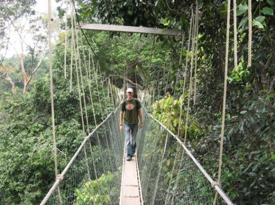 Ich auf einer Hängebrücke des Canopy Walk