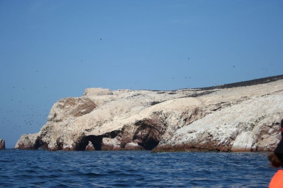 Islas Ballestas mit abertausenden von Vögeln